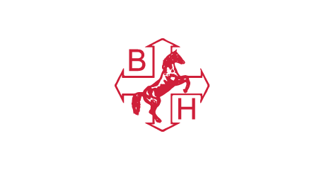 Ballyvesey Holdings logo